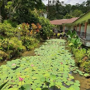 Seri Pengantin Resort
